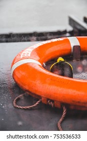 Orange Life Preserver On A Boat During A Rain Storm, Shallow Depth Of Field