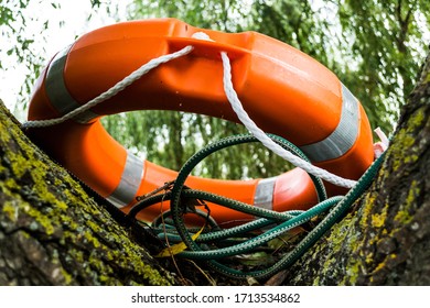 Orange Lifeline Ring In A Tree. Lifebuoy Ring.