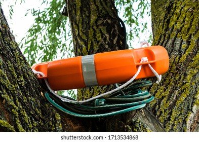 Orange Lifeline Ring In A Tree. Lifebuoy Ring.