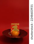 Orange and the Lucky Red Envelope with the Script in Chinese, Good Luck and Rabbit in Gold printed