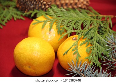 Orange Mandarin And Green Juniper Sprig On A Red Background