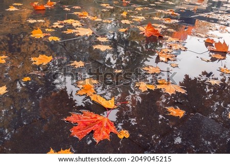 Similar – side by side Water Autumn