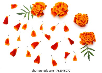 105,573 Marigold petals Images, Stock Photos & Vectors | Shutterstock