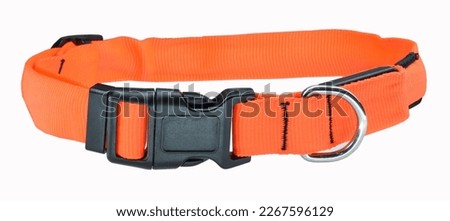 Orange nylon collar for dogs and cats