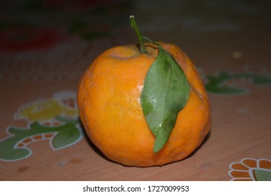Orange on the table, single