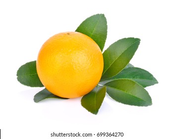 Orange On White Background