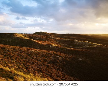 Orange Painted Dunes By The Sunset