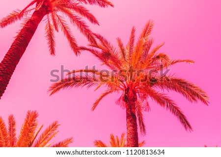 orange palm trees against the pink sky. bright neon colors. minimal and surreal. summer vacation.  