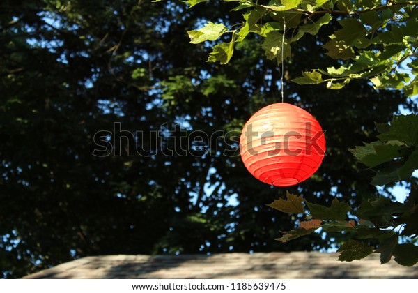 Orange Paper Party Lantern Outdoor Setting Stock Photo Edit Now Orange Paper Party Lantern Outdoor