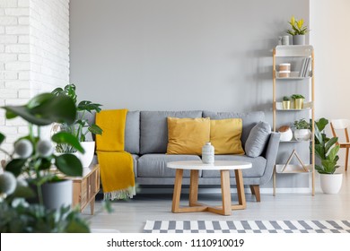 Orange pillows and blanket on grey couch in living room interior with wooden table. Real photo - Shutterstock ID 1110910019