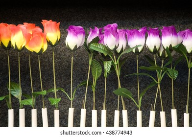 Orange and pink textile roses in a row in front of black background; Shooting at funfair; Target object at shooting gallery