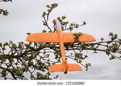 Orange Plastic Children's Plane Stuck In Tree Branches. It's A Children's Toy