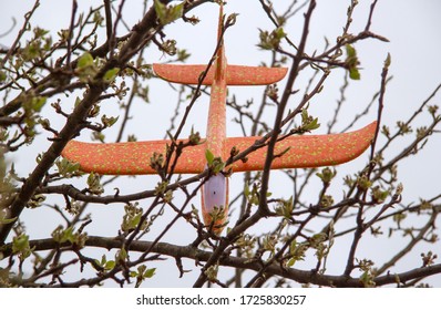 Orange Plastic Children's Plane Stuck In Tree Branches, It's A Children's Toy