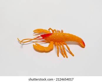 635 Clamp lobster Images, Stock Photos & Vectors | Shutterstock