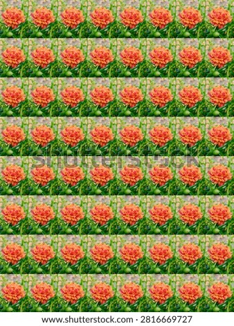 Orange Portulaca Grid Seamless Pattern Background 

A vibrant repeating seamless grid pattern composed of beautifully layered orange portulaca moss rose blossoms and delicate green foliage.