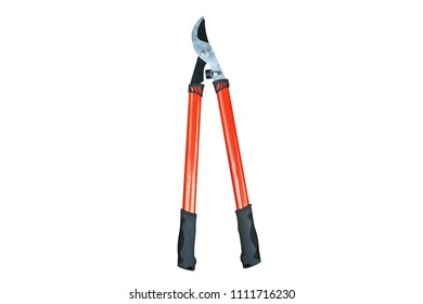 Orange pruning shears