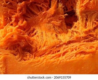 Orange Pulp Pumpkin Texture Macro. Villi Of Pumpkin Pulp. Pumpkin Insides