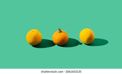 An orange pumpkin between two oranges. Green background. Visual similarities creative concept. Autumn trendy colors orange and green artistic design. - Shutterstock ID 2061653135