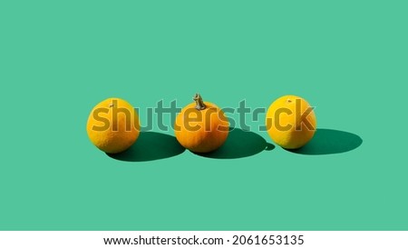An orange pumpkin between two oranges. Green background. Visual similarities creative concept. Autumn trendy colors orange and green artistic design.