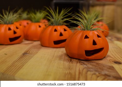 Jack-O-Lantern Halloween Planter