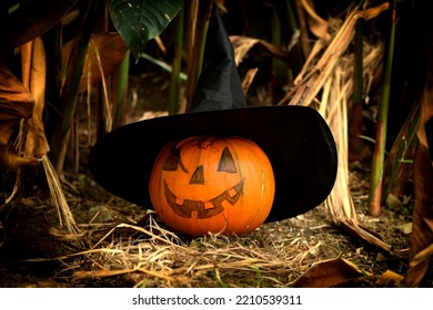 Orange Pumpkin Hidden In The Forest.Evil Laugh In Halloween Horror Night, Tradition October 31