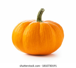 Orange Pumpkin On A White Background