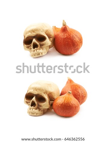 Orange pumpkin and a resin toy skull replica as a halloween composition, isolated over the white background, set of two different foreshortenings
