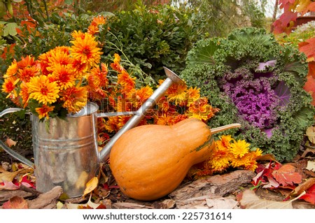 orange pumpkin, watering can with chrysanthemums and decorative cabbage in a garden in autumn