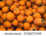 Orange Pumpkins at Cider Mill in a Bunch