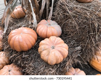 Orange pumpkins on hay bales in MOSCOW, RUSSIA - OCTOBER 08 , 2017: Festival Golden autumn in Moscow. 
