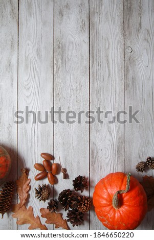 Orange pumpkins, pine tree cones, acorns, fall oak leaves on white wooden table background. Top view, copy space. Autumn, harvest, thanksgiving concept.