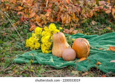 Orange Pumpkins And A Yellow Bouquet Of Flowers On A Green Plaid In Nature Against The Background Of Fallen Leaves On A Bush