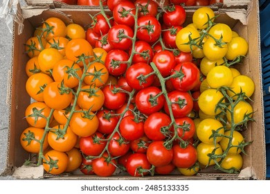 Orange, red and yellow cherry tomatoes. Mix colorful tomatoes in summer day. Top view. - Powered by Shutterstock