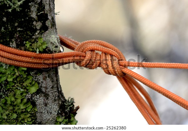 Orange Rope Tie Branch Tree Stock Photo (Edit Now) 25262380