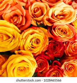 Orange Rose Boquet