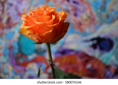 Orange Rose Dark Wood Background Pink Stock Photo 580076140 | Shutterstock