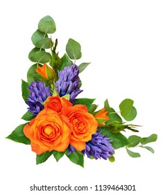 Orange roses and hyacinth flowers with eucalyptus leaves in a corner floral arrangement isolated on white background. Flat lay. Top view.