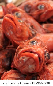 Orange Roughy Fish In A Market Display