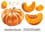 Orange round pumpkins and pumpkin slices and seeds isolated on white background. File contains clipping paths.