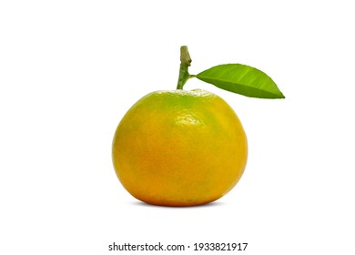 Orange Sai Nam Phueng Isolated On White Background