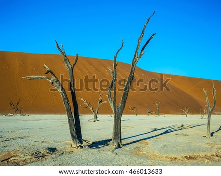 Similar – Dead Vlei Namibia