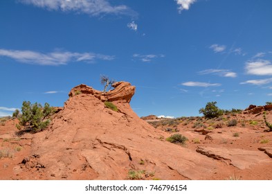 Orange Sand And Stones In The Desert On Kaiparowits Plateau 
 Garfield County, Utah, USA