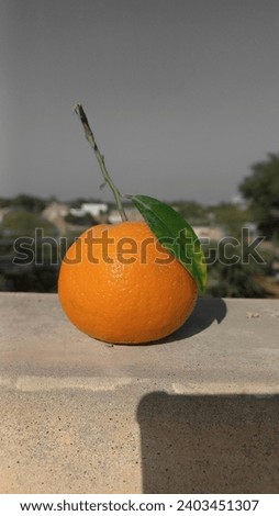 Orange season is around the corner in one of the most finest orange producing country , Pakistan