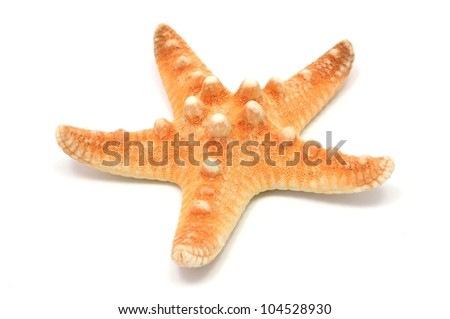 an orange seastar isolated on white background