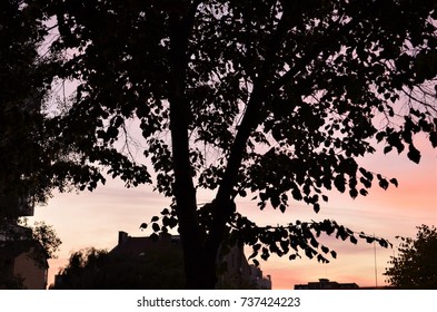 Orange skies in Sofia