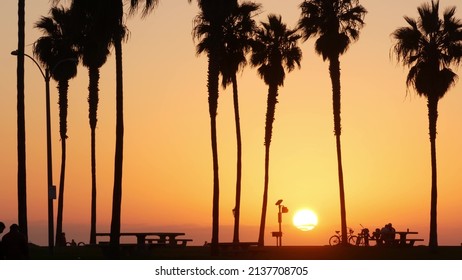 Orange sky, silhouettes of palm trees on beach at sunset, California coast, USA. Bicycle or bike in beachfront park at sundown in San Diego, Mission beach vacations resort on shore. People walking. - Shutterstock ID 2137708705