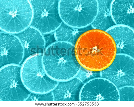 orange slices odd one out graphics