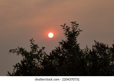 Orange Smoky Skies In Sacramento California From Wildfires In The Region