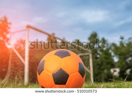 Orange soccer ball on the lawn