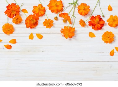 Orange Summer Flowers On White Wooden Background
